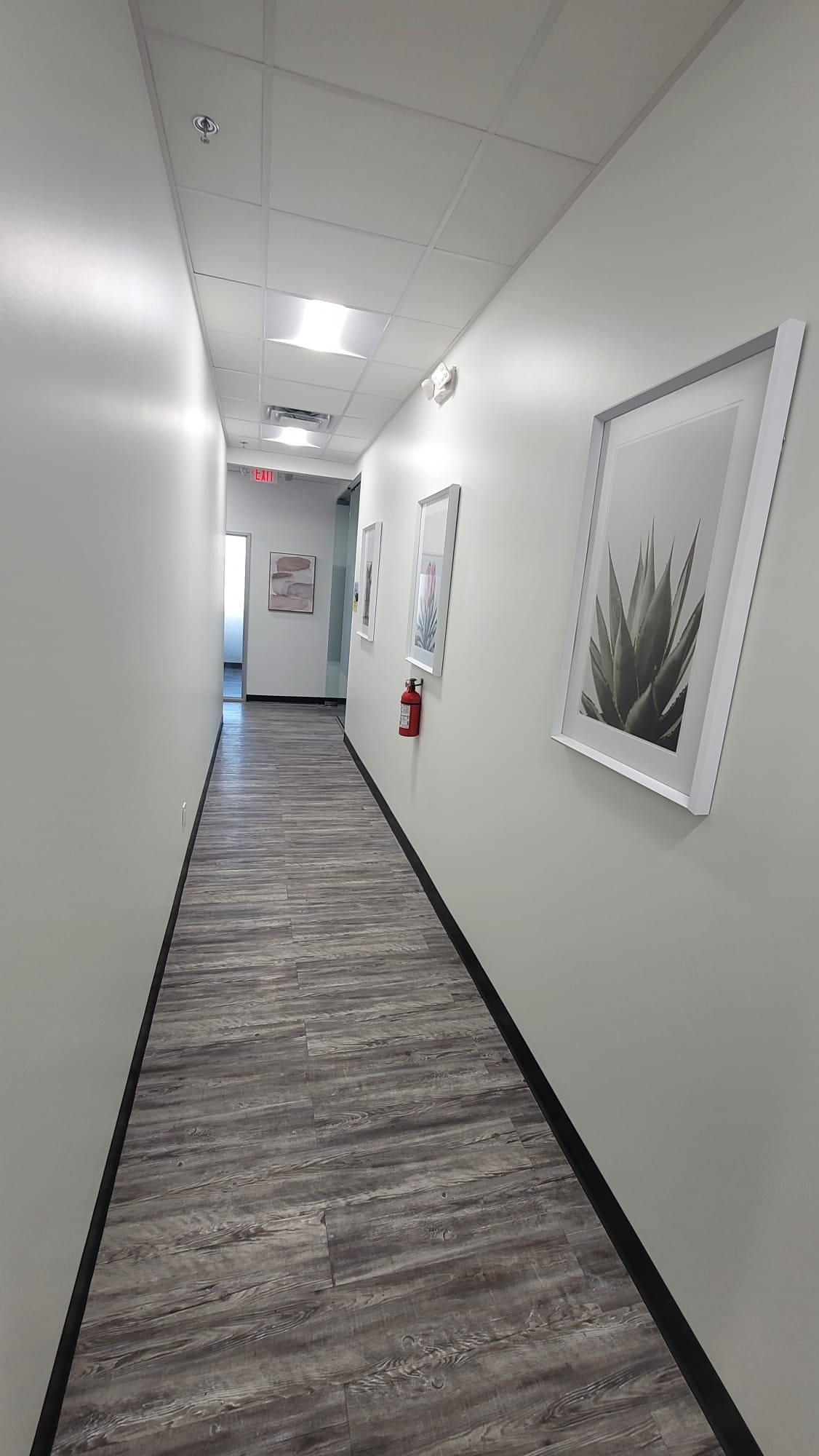 Lease medical office plano texas Lease medical office plano texas